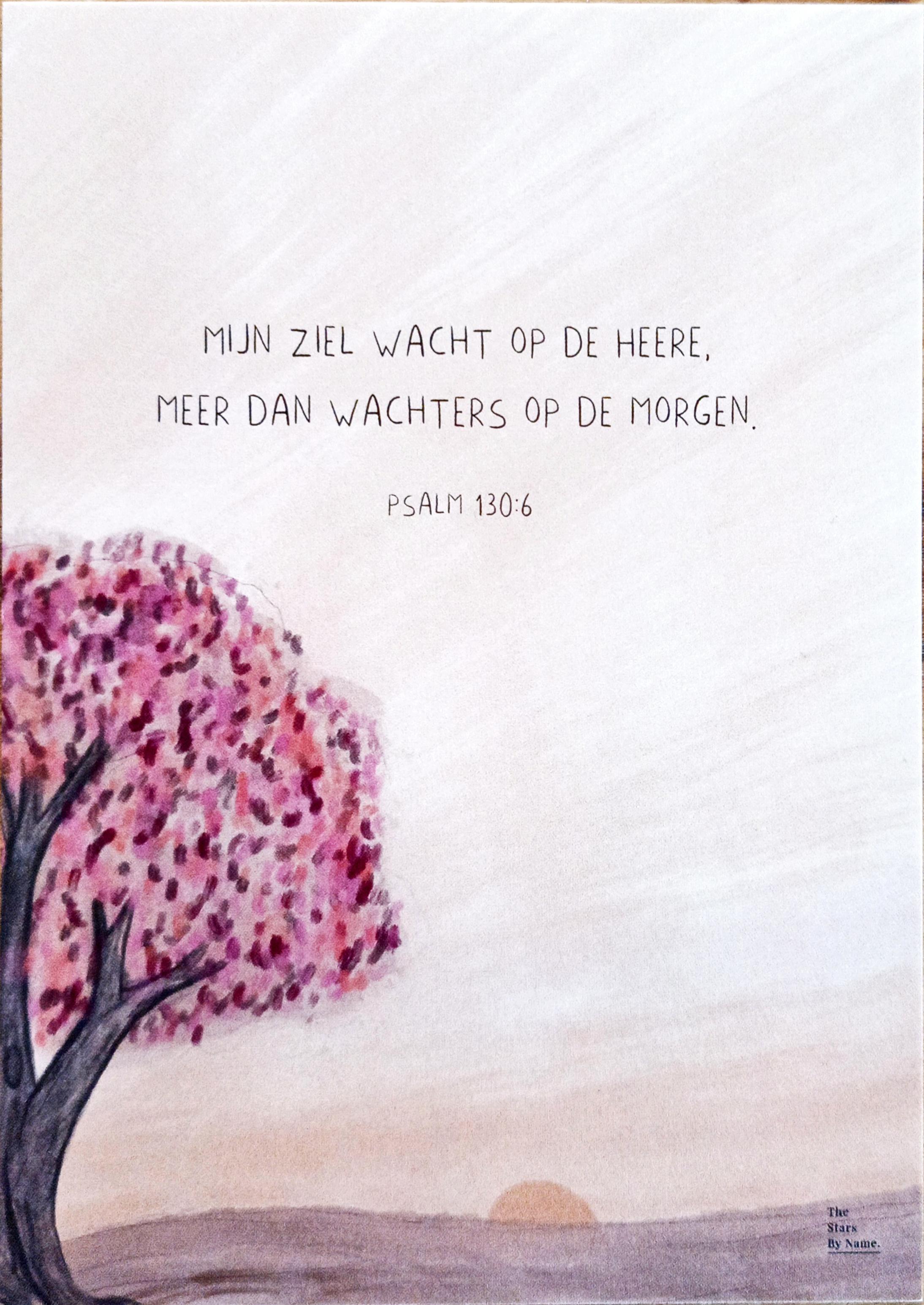 Week 26