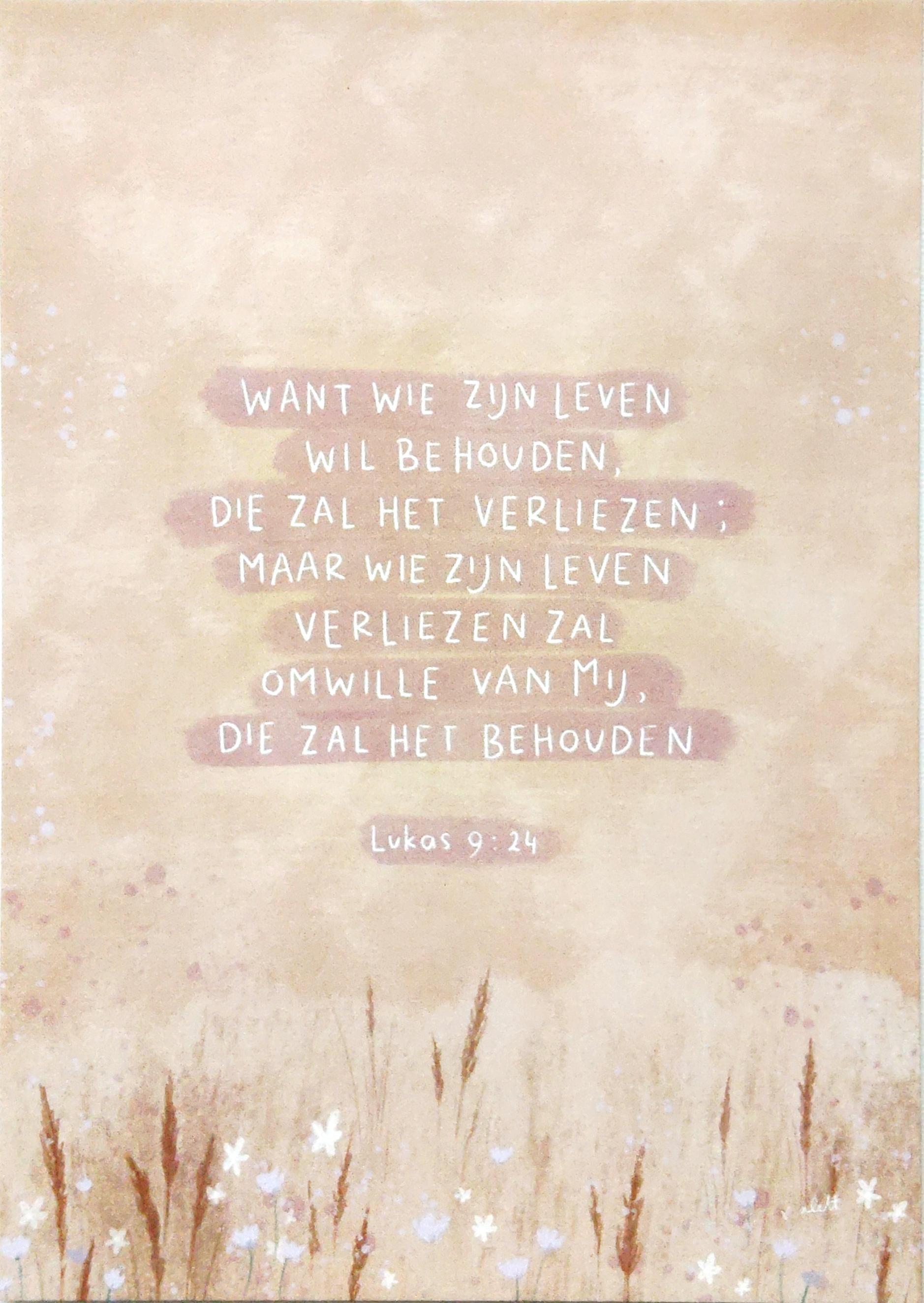 Week 31